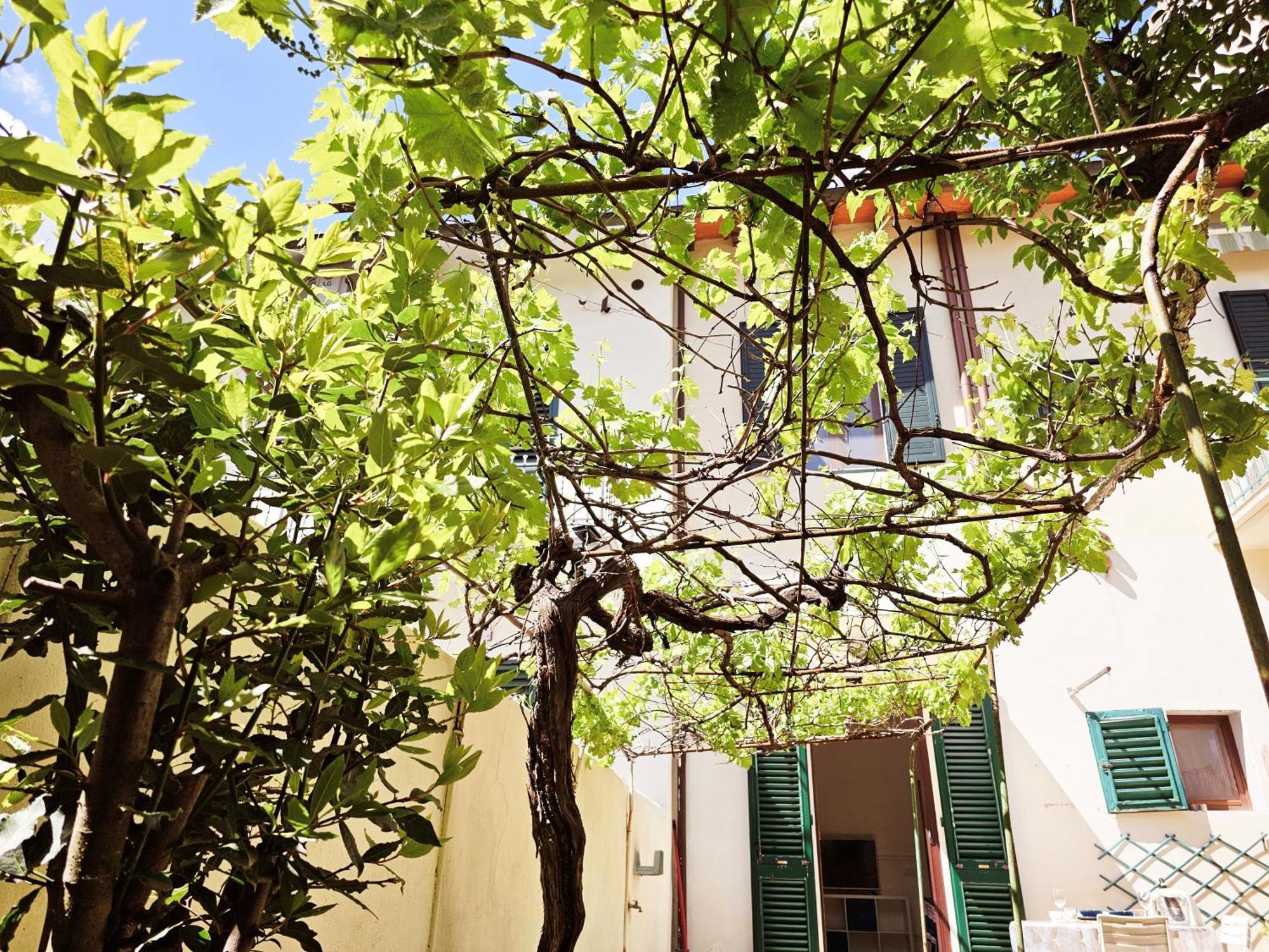 Alice'S Garden Apartment Florence Ngoại thất bức ảnh